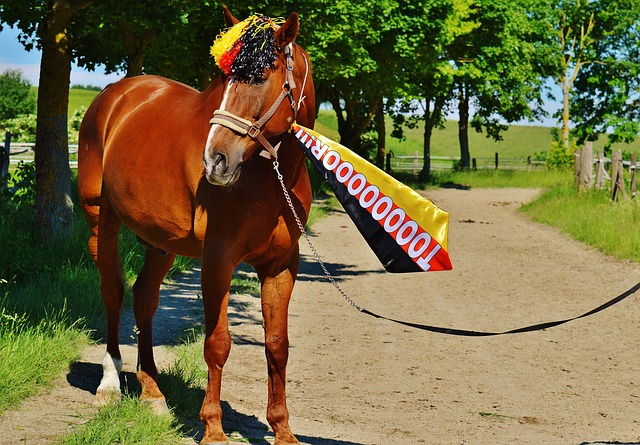 最具统治力 最具统治力